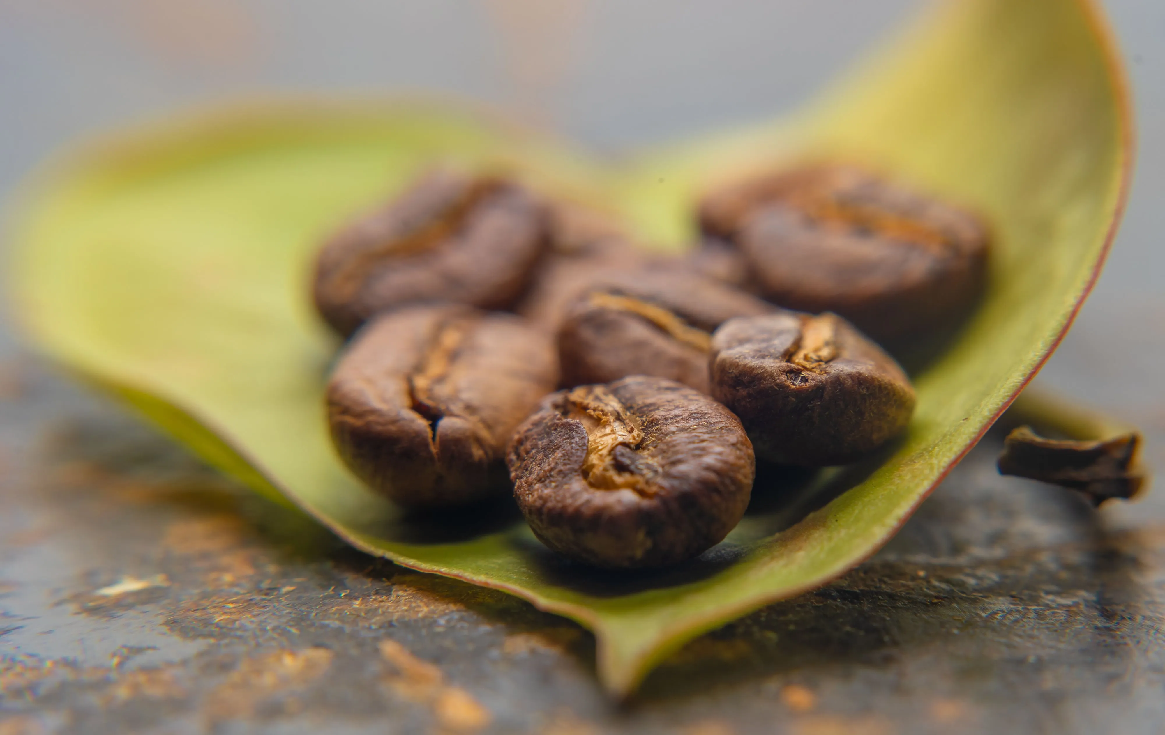 A handful of roasted coffee beans resting on a green leaf