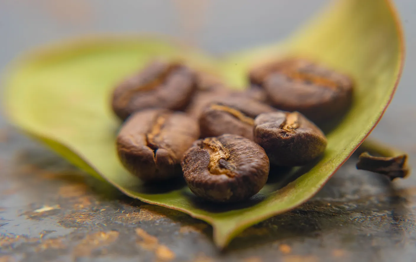 A handful of roasted coffee beans resting on a green leaf