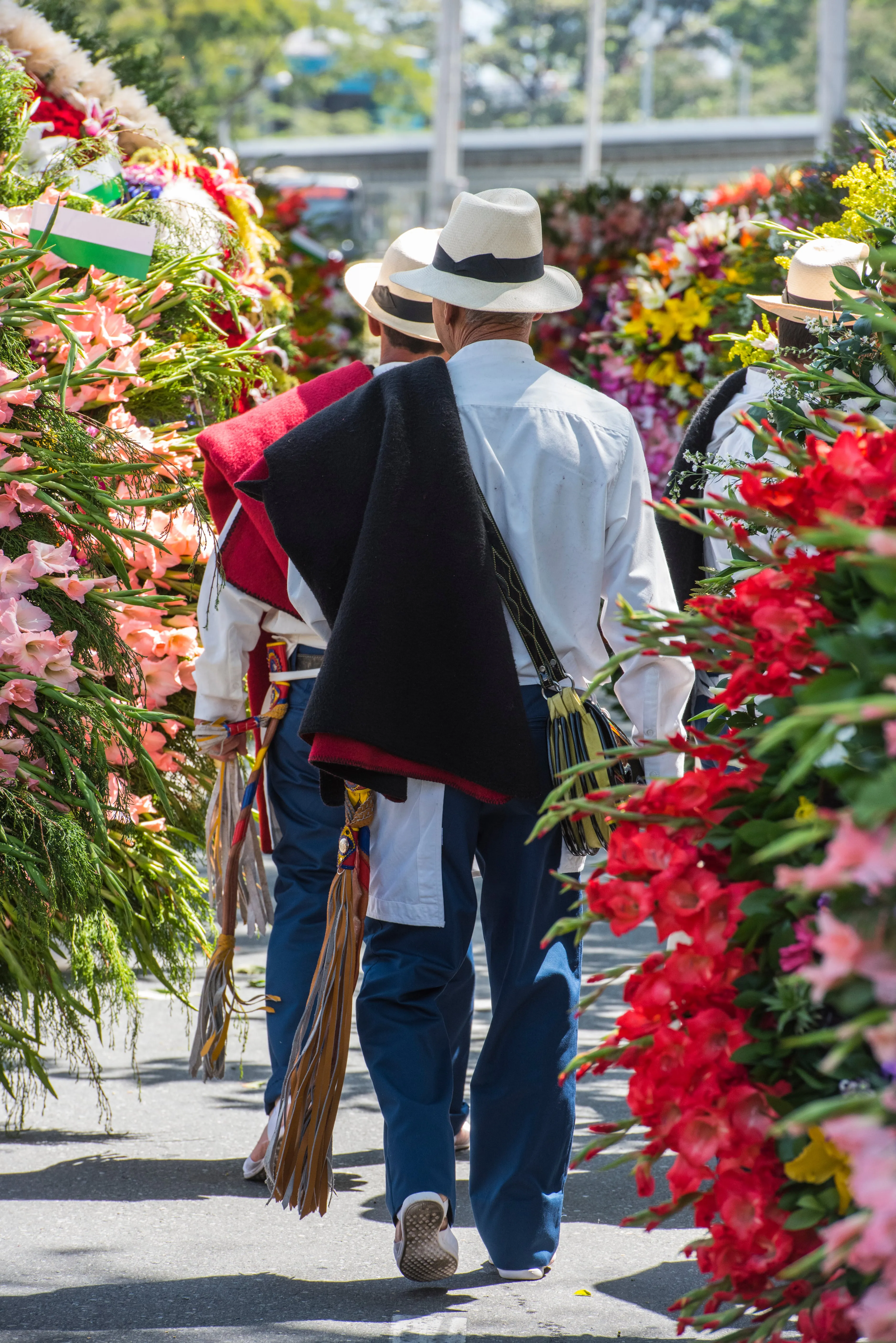 Silleteros in hats and ponchos walking between finished silletas before a parade